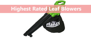 The Best Leaf Blowers 2016 The Best Leaf Blowers 2016